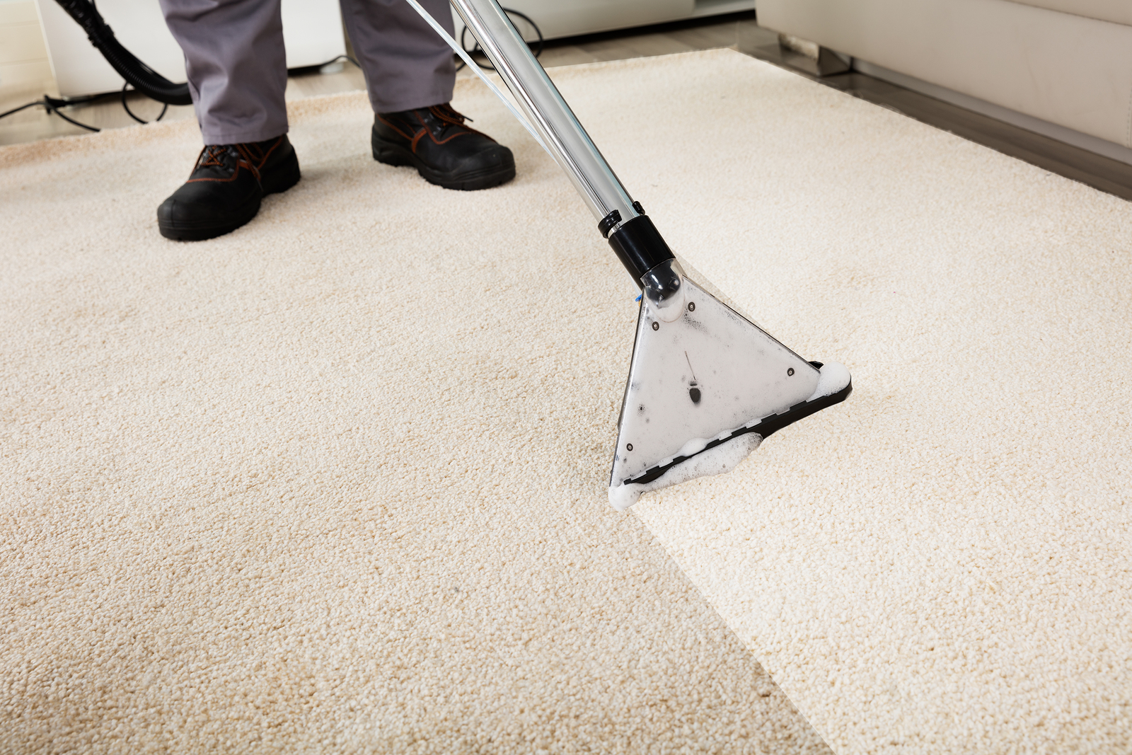 Cheap and Professional Carpet Cleaning Services in St Albans Try 5