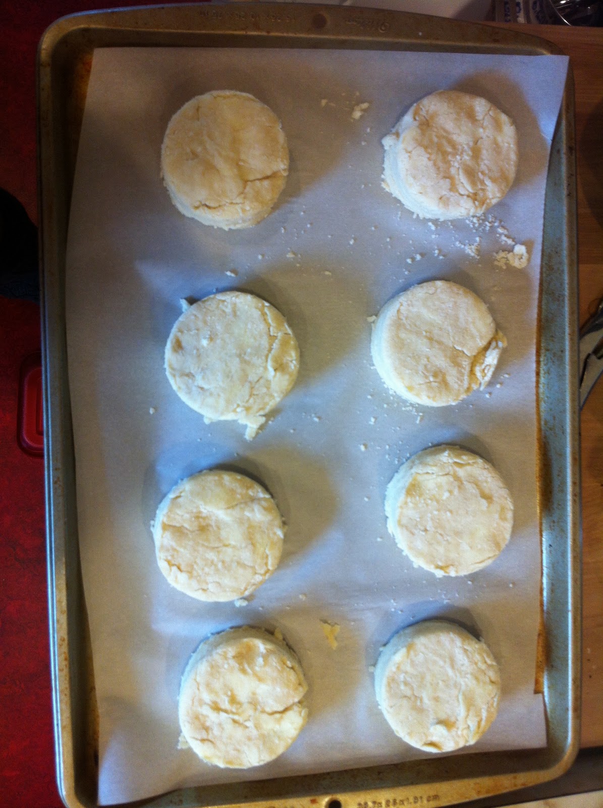 Jennaration Baked Recipe 32 Malted Buttermilk Biscuits