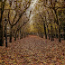 Random Post - Autumn