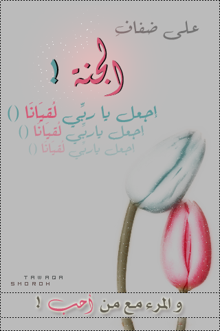 صور خلفيات اسلامية جديدة 2016