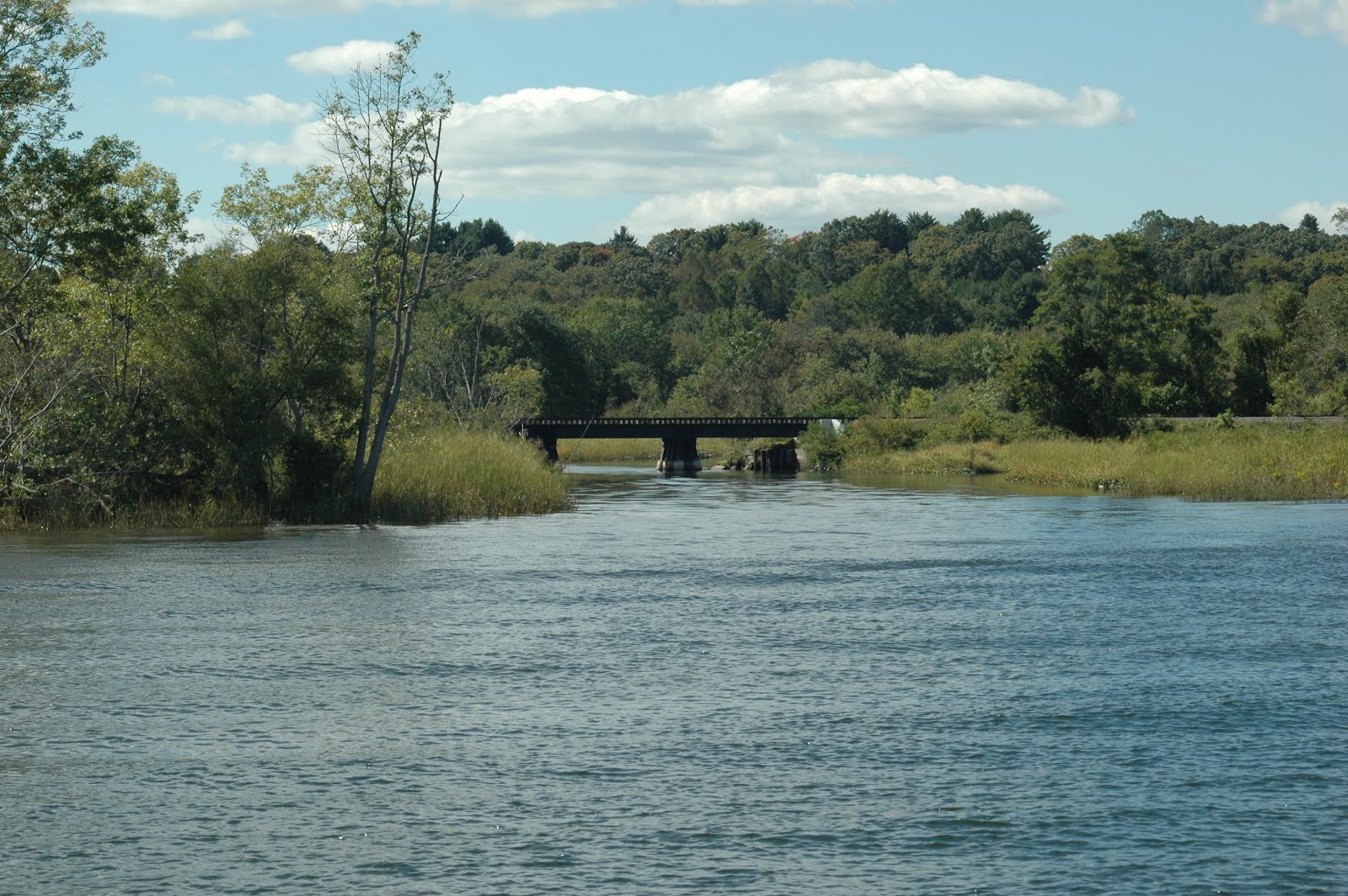 Diana’s Little Corner in the Nutmeg State Saturday 9 (Amazing) Just