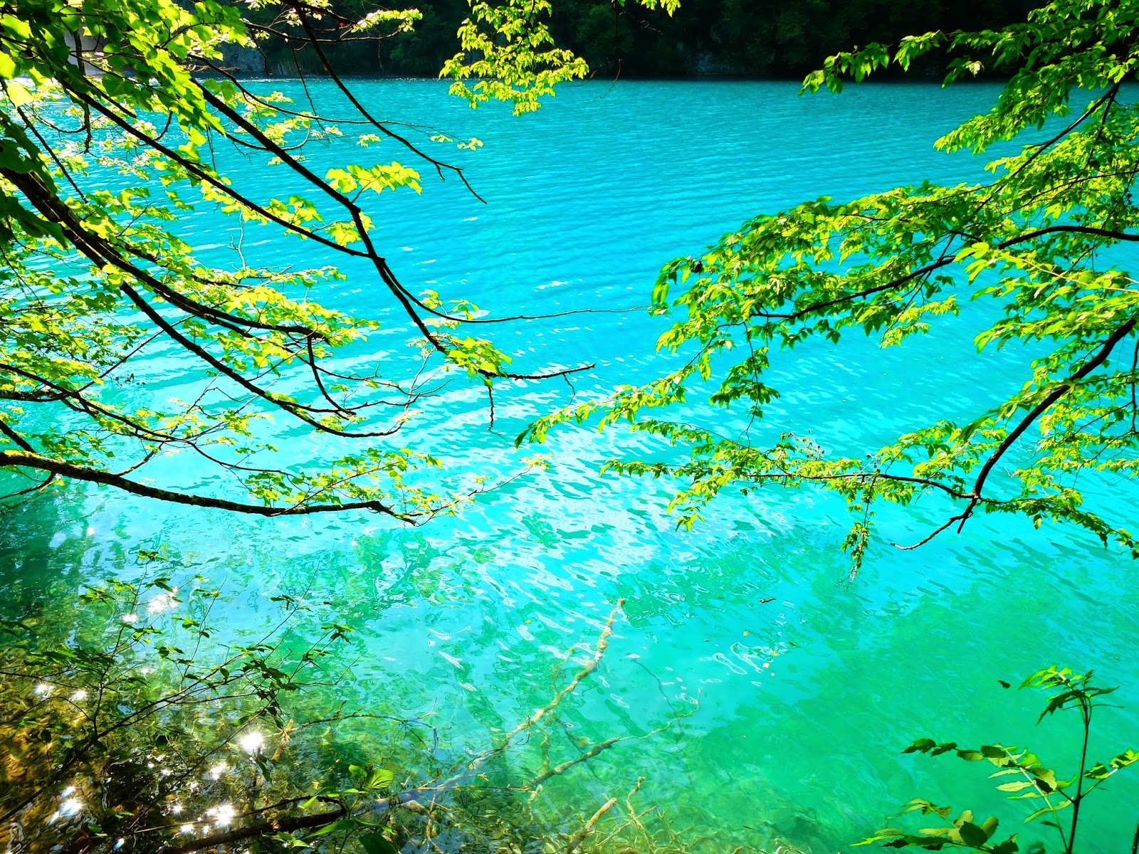 毛利的旅遊日誌 Day 6 Plitvice 十六湖國家公園 1 下湖區