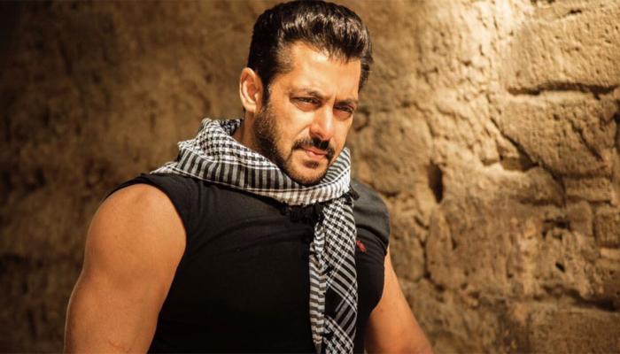 Bollywood Tiger Salman Khan Bollywood Tiger Salman Khan