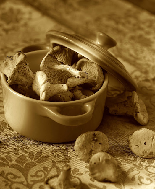 stuttgartcooking: Pfifferlinge im Estragon-Rahm mit Semmelknödeln stuttgartcooking: Pfifferlinge im Estragon-Rahm mit Semmelknödeln