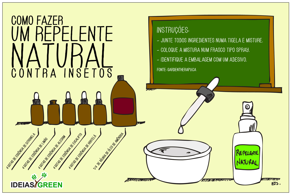 Como fazer um repelente natural contra insetos - Ideias Green
