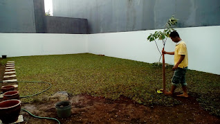 TUKANG-TAMAN-SAWANGAN-MURAH-&-PROFESIONAL TUKANG TAMAN SAWANGAN MURAH & PROFESIONAL