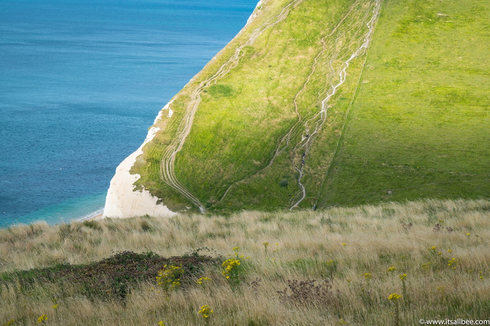  Durdle Door Dorset | 5 Things To Do In England's Jurassic Coast | Durdle From London