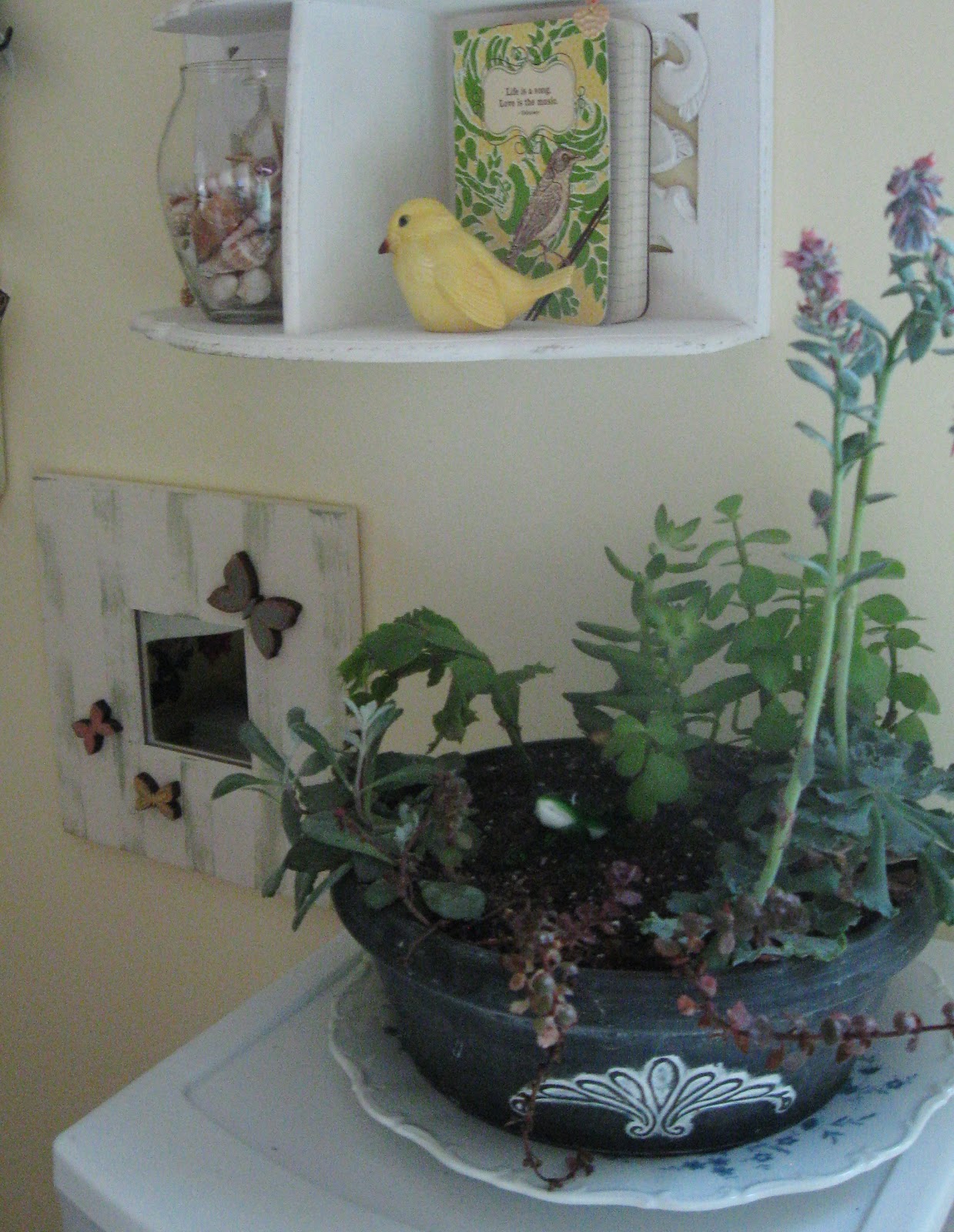 COMFY HOUSE moving outdoor plants inside