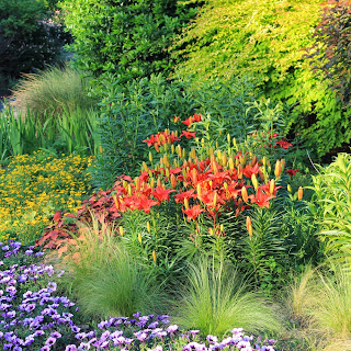 The Rainforest Garden: 9 Garden Design Tips from Moss Mountain