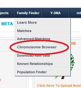 Chromosome Browser Screenshot ftDNA