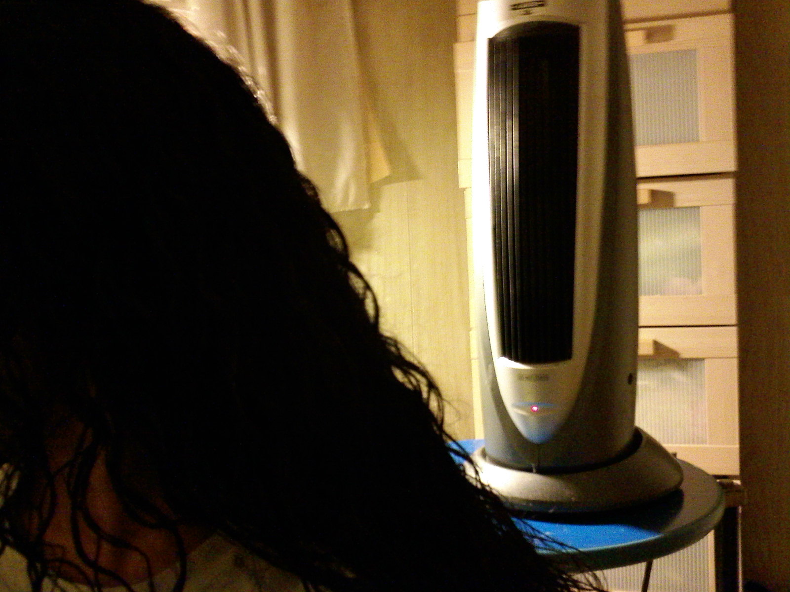 Green Hair The Best Hair Dryer Ever