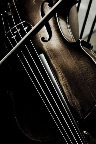 violin form - image collection no. 09  by linenlavenderlife.com - http://www.pinterest.com/linenlavender/ll-collection-no-09/