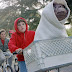 Today's Article - E.T. the Extra-Terrestrial 