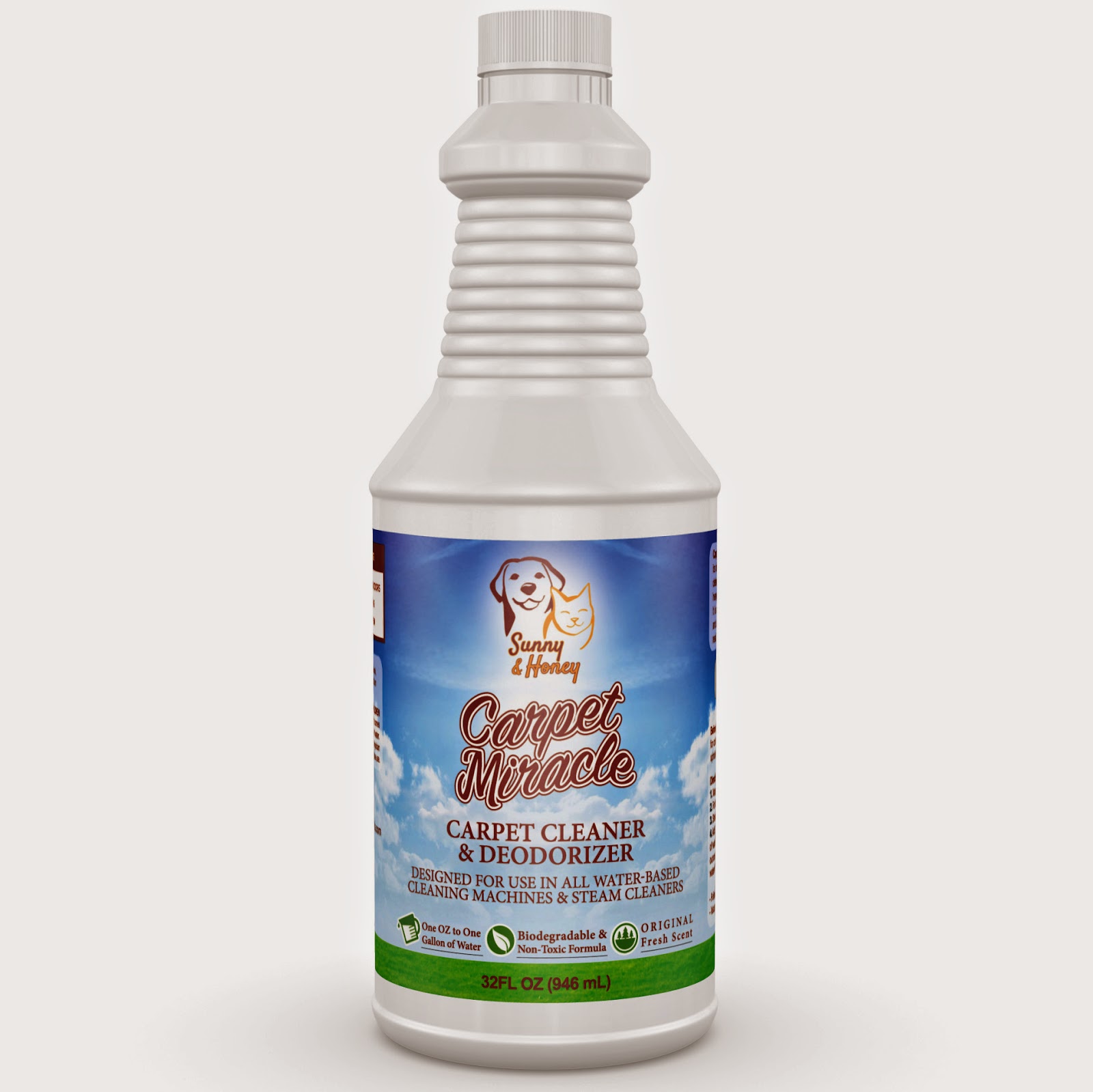 To Daisy's Reviews S&H Carpet Miracle Carpet Cleaner