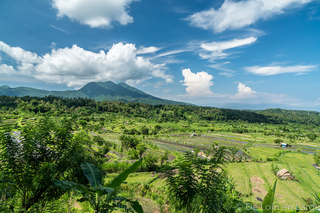 Rizières de Tirtagangga - Bali