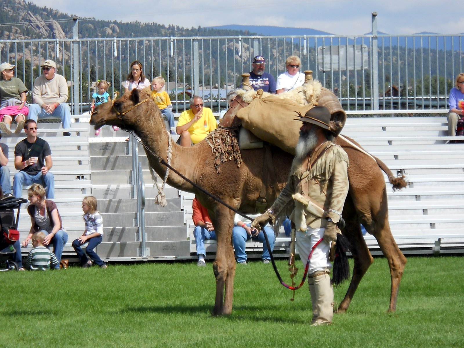 Jojo&#039;s News.2 Longs Peak Scottish*Irish Highlands Festival, Estes