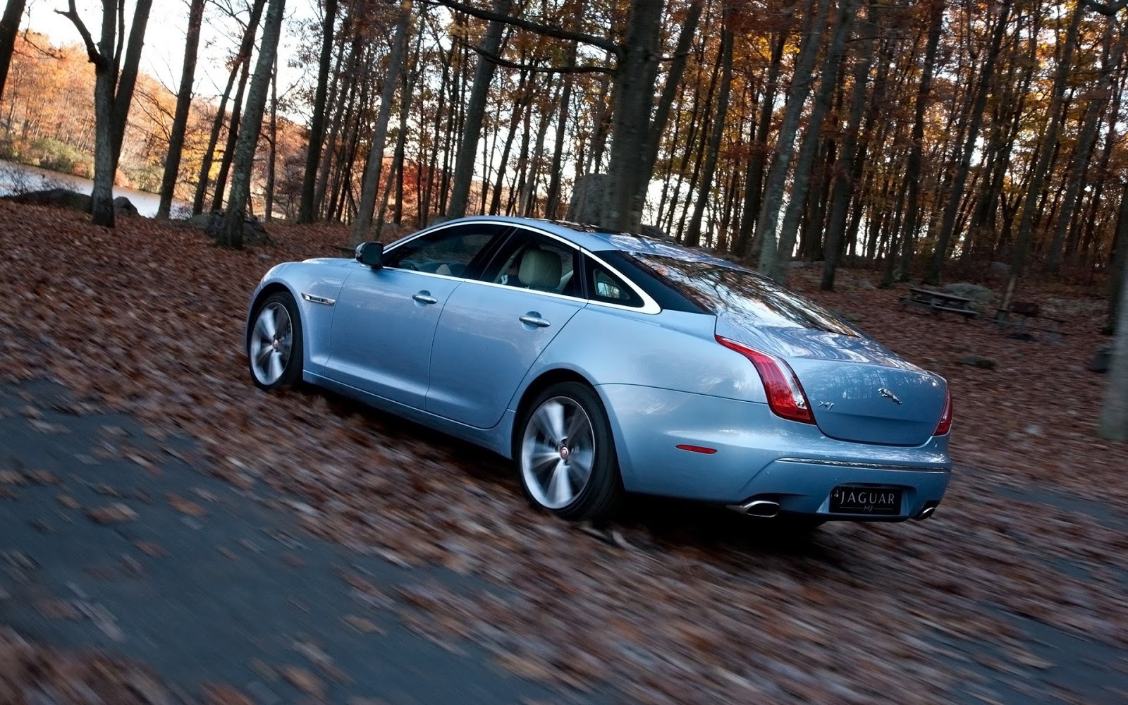 Ягуар XJ осенью