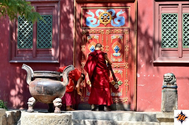 Ulan Bator, monastero di Gandan Ulan Bator, monastero di Gandan