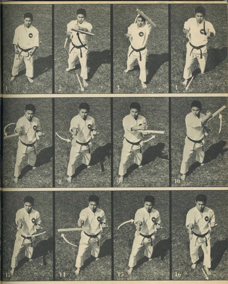 Isshin Concentration the Art The Core of Okinawan Kobudo Tonfa