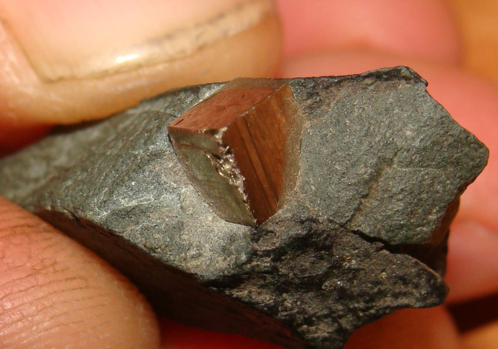 находки найденные в каменном угле. находки в каменном угле. предметы найденные в угле. необычные находки в угле. уголь артефакт.