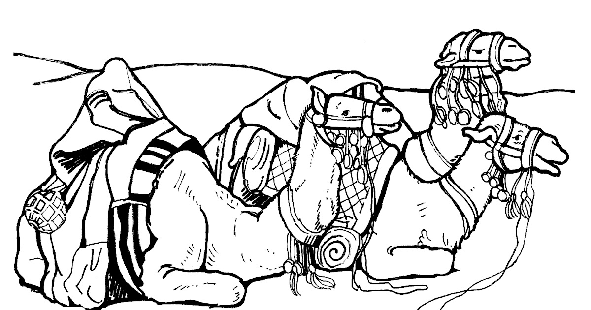 Color These Camels  Color The Bible