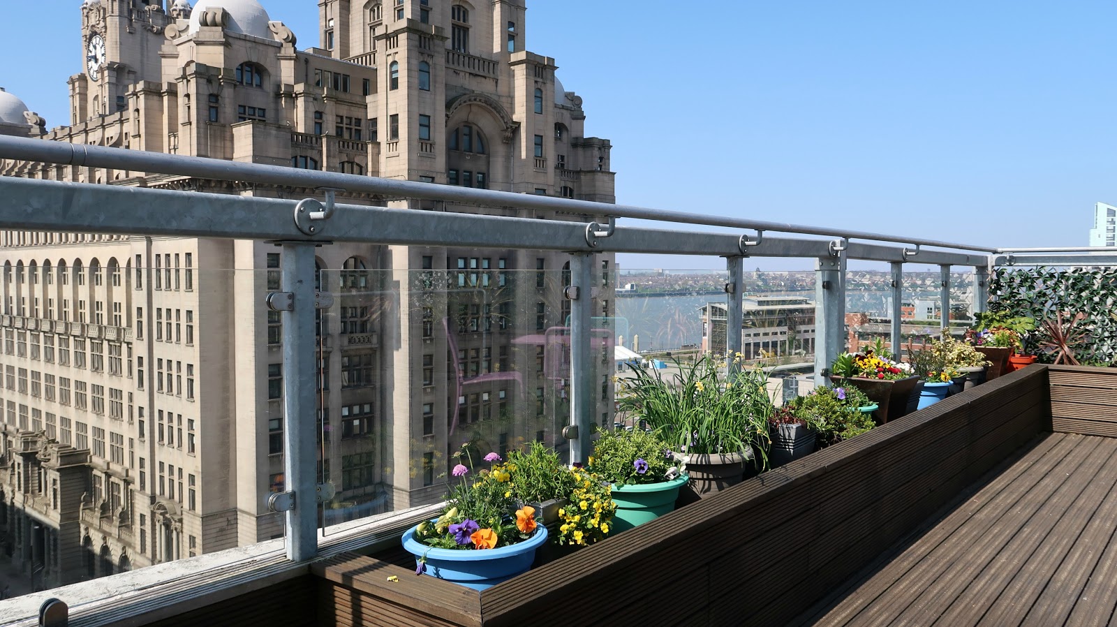 Goodness Gracious Roof Garden Oh Me Oh My Danielle Levy