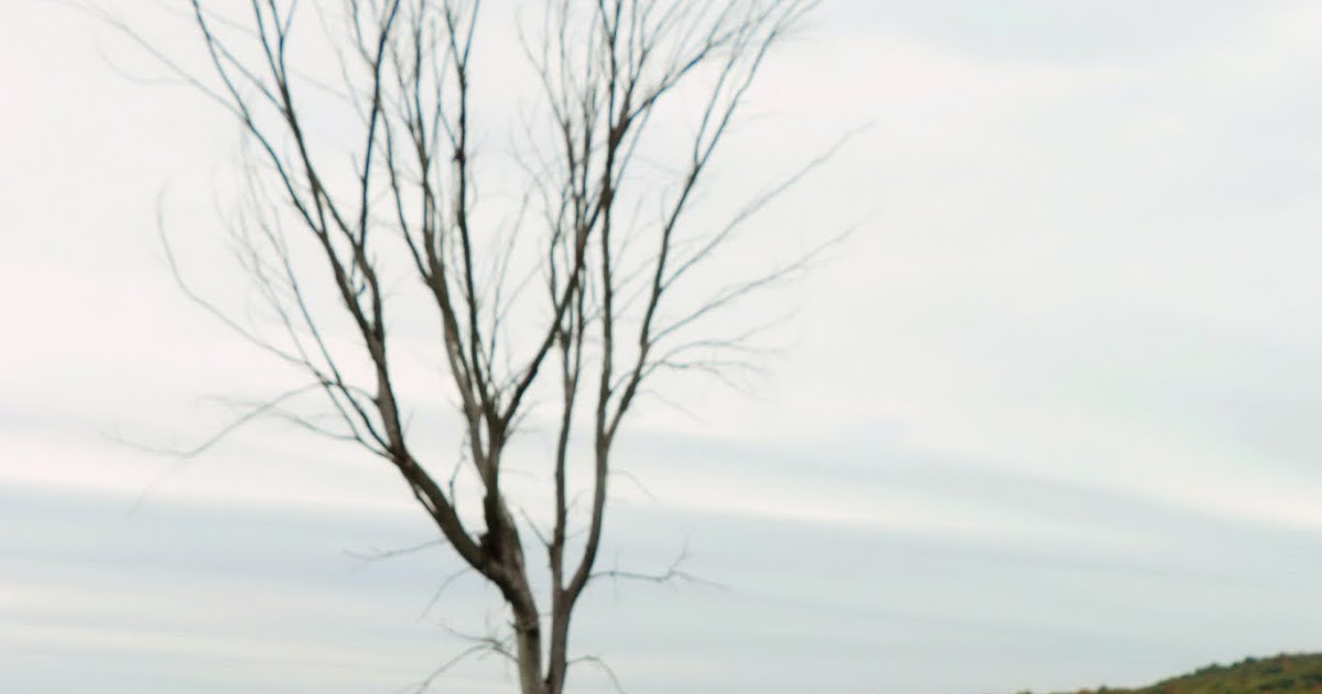 Activité d'automne à StJoseph du lac l'autocueillette de citrouilles