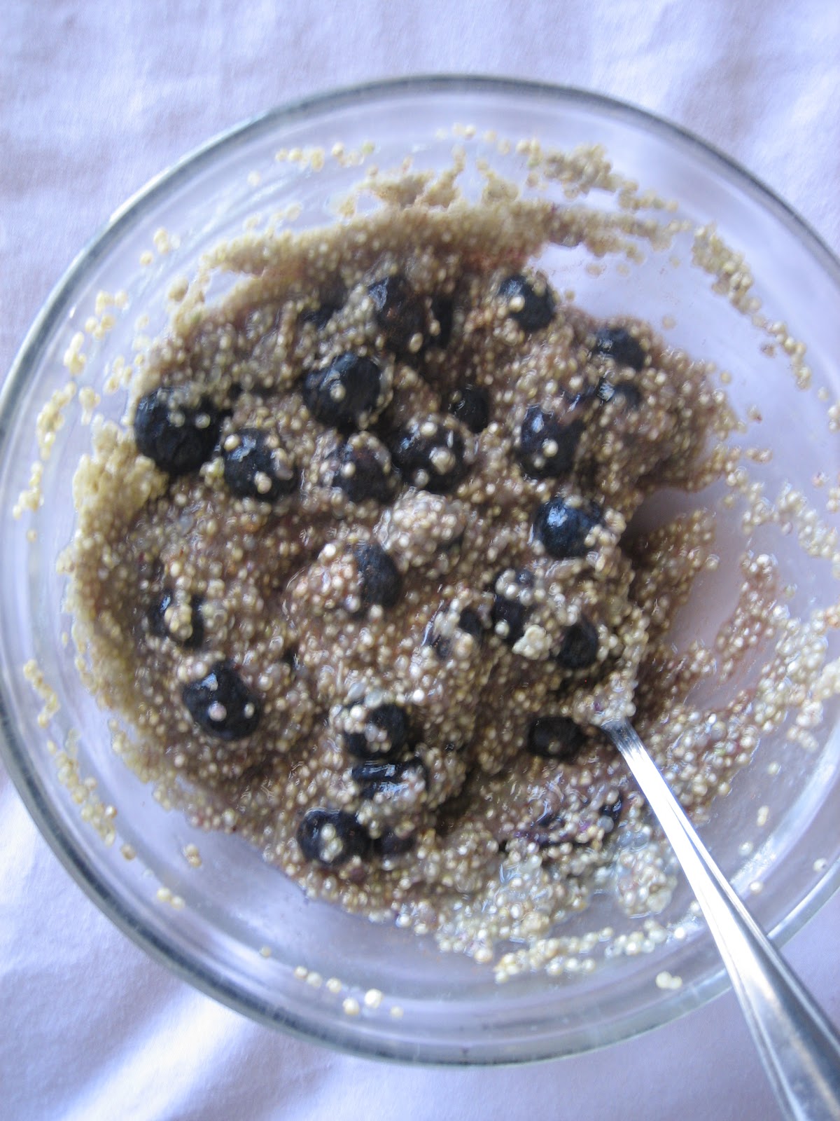 Discovering the Extraordinary Blueberry Quinoa Cereal