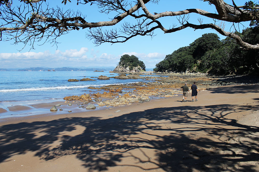 The Gluepot Gazette Matapaua Bay, Coromandel