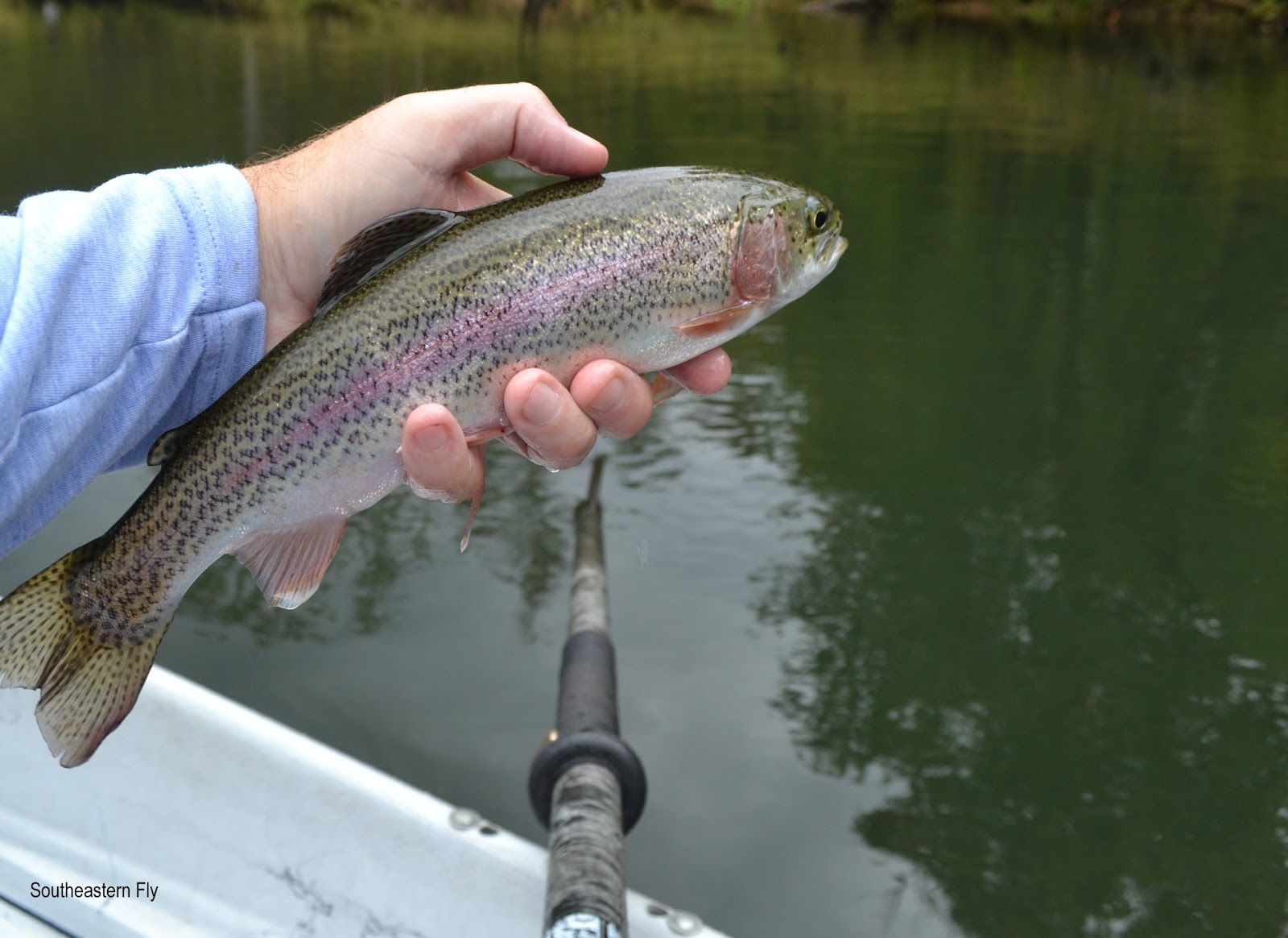 Southeastern Fly Cory and Eddie Fly Fishing Near Nashville