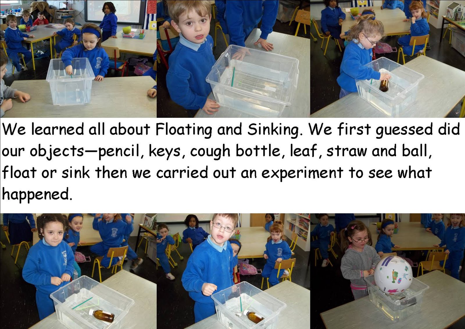 Ms. McLaughlin Floating and Sinking Experiment!