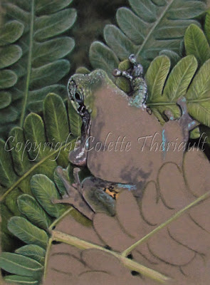 Update of Frog painting of North American Wildlife by Colette Theriault