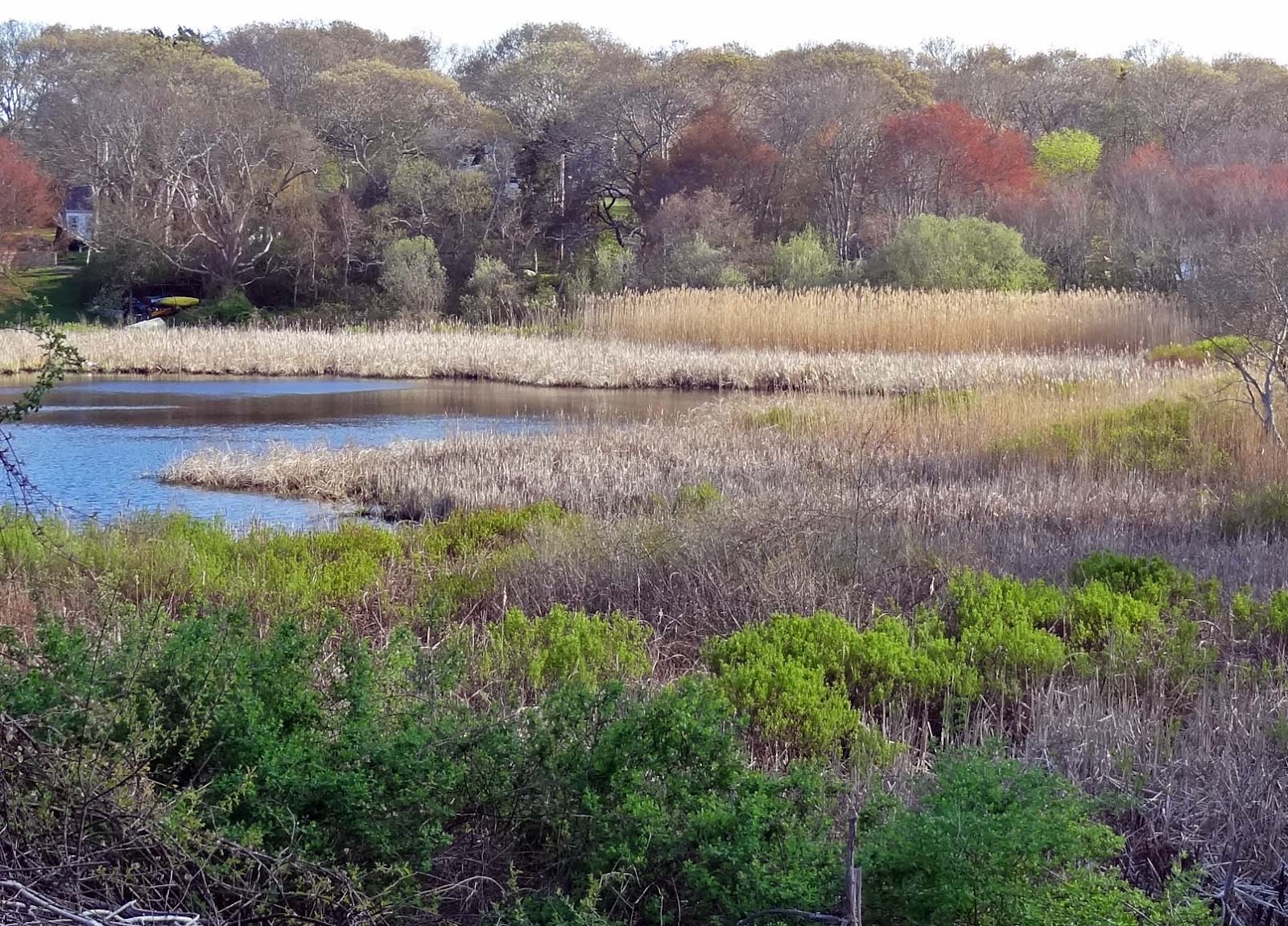 Joe's Retirement Blog White Horse Beach, Manomet, Plymouth