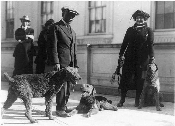 Terrierman's Daily Dose Waren G. Harding's Laddie Boy