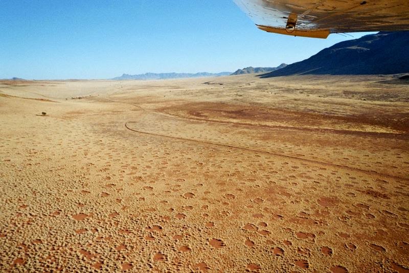 e Pictures Gallery The Mysterious Fairy Circles of Africa