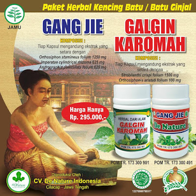 obat kencing batu/batu ginjal