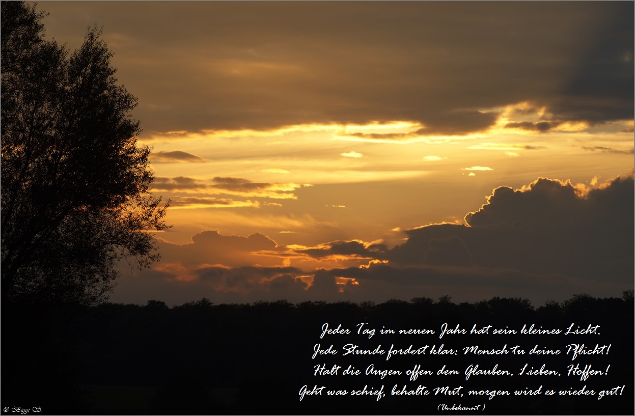  Zitate im Bild_65 Bildidee 