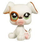 Littlest Pet Shop Singles Boxer (#738) Pet