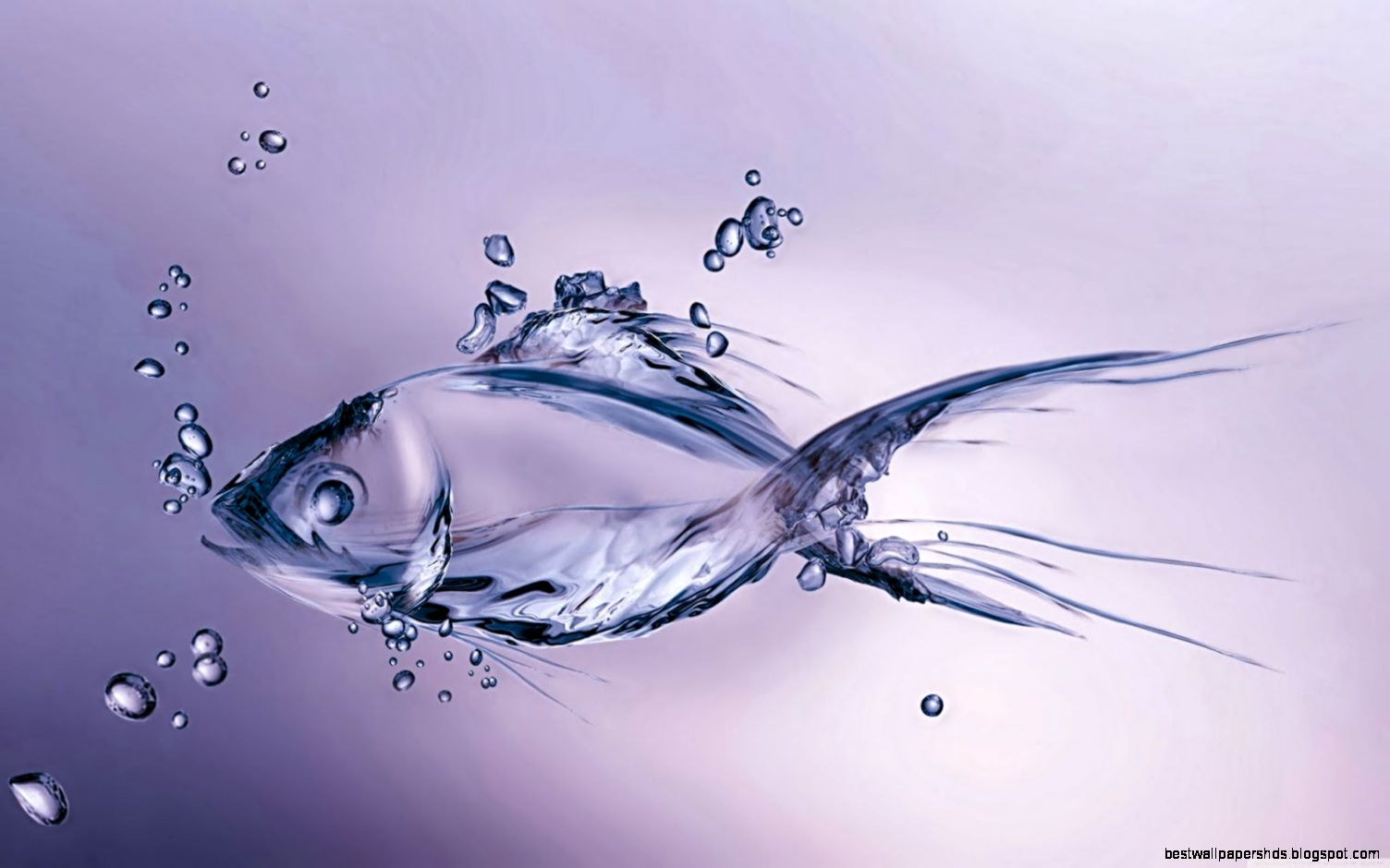 1600x 1000px filesize 140kb tagged water fish water fish wallpaper