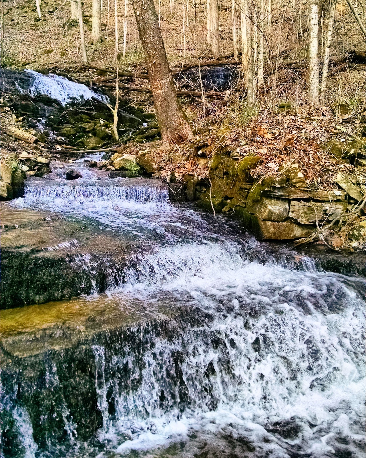 Bloomington, IN Leonard Springs Nature Park Explore This City