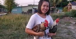 Gambar Pukulan Ayam