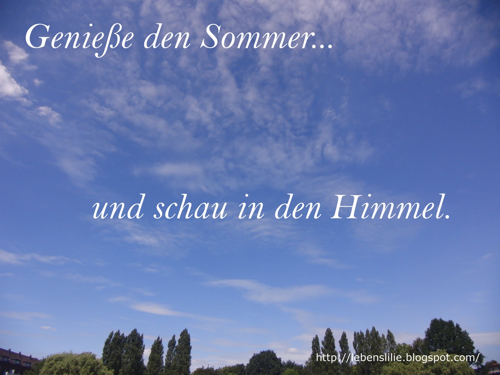 Lebenslilie Genieße den Sommer...