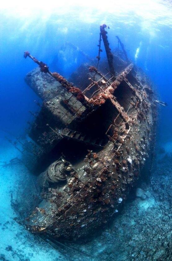 Rahman's Grace: Shipwreck in the northern Red Sea, Egypt.