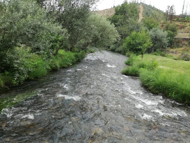 água Cristalina Rio Alva