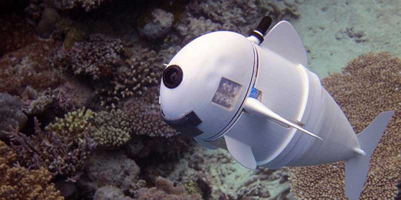 SoFi, Si Robot Ikan Sahabat Ekosistem Laut