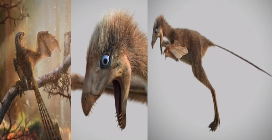 weird dinosaur