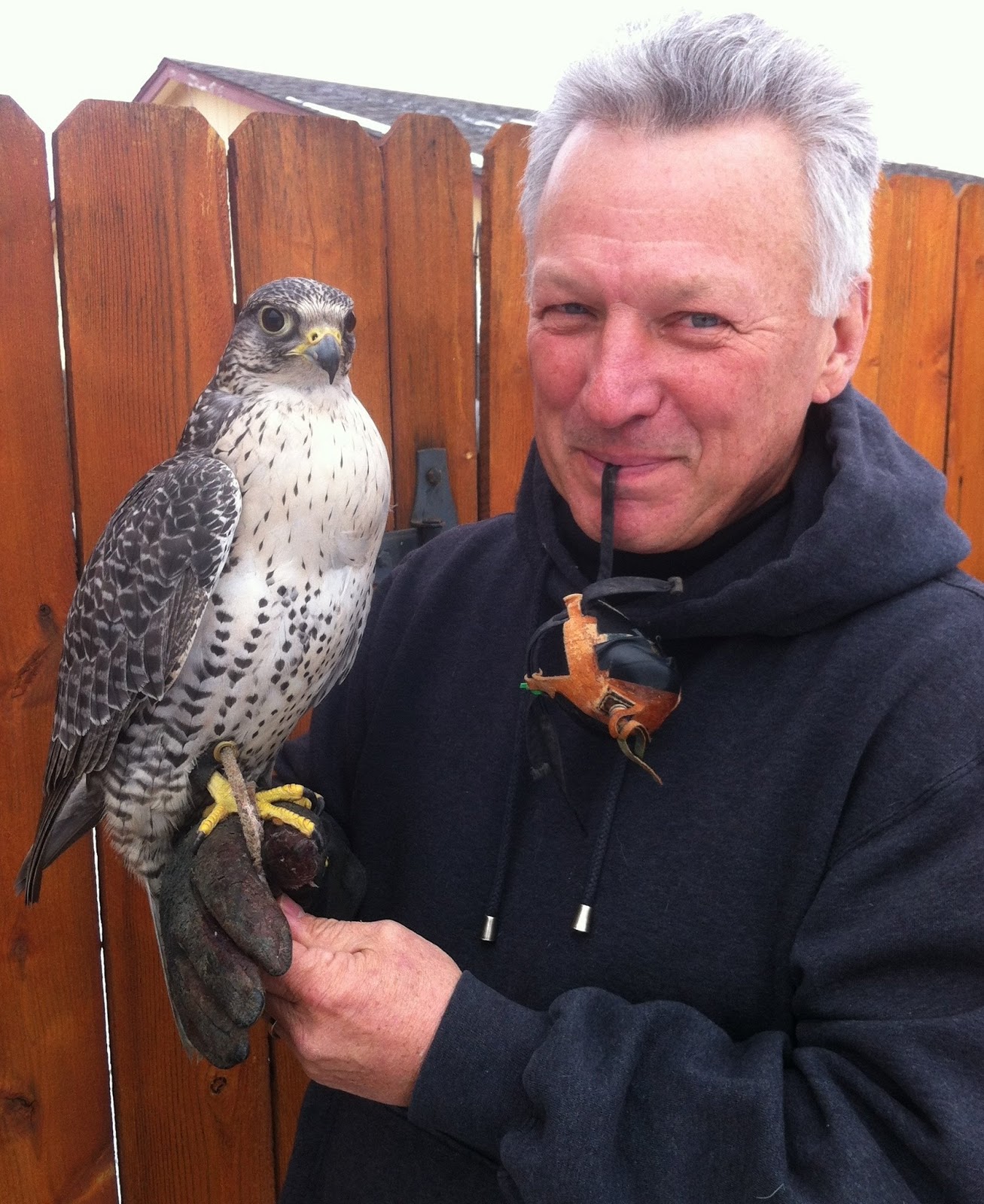 Togs's Christopher Boyce ON Whitlam's Sacking 11111975