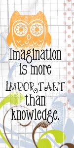 'A imaginação é mais importante que o conhecimento...'