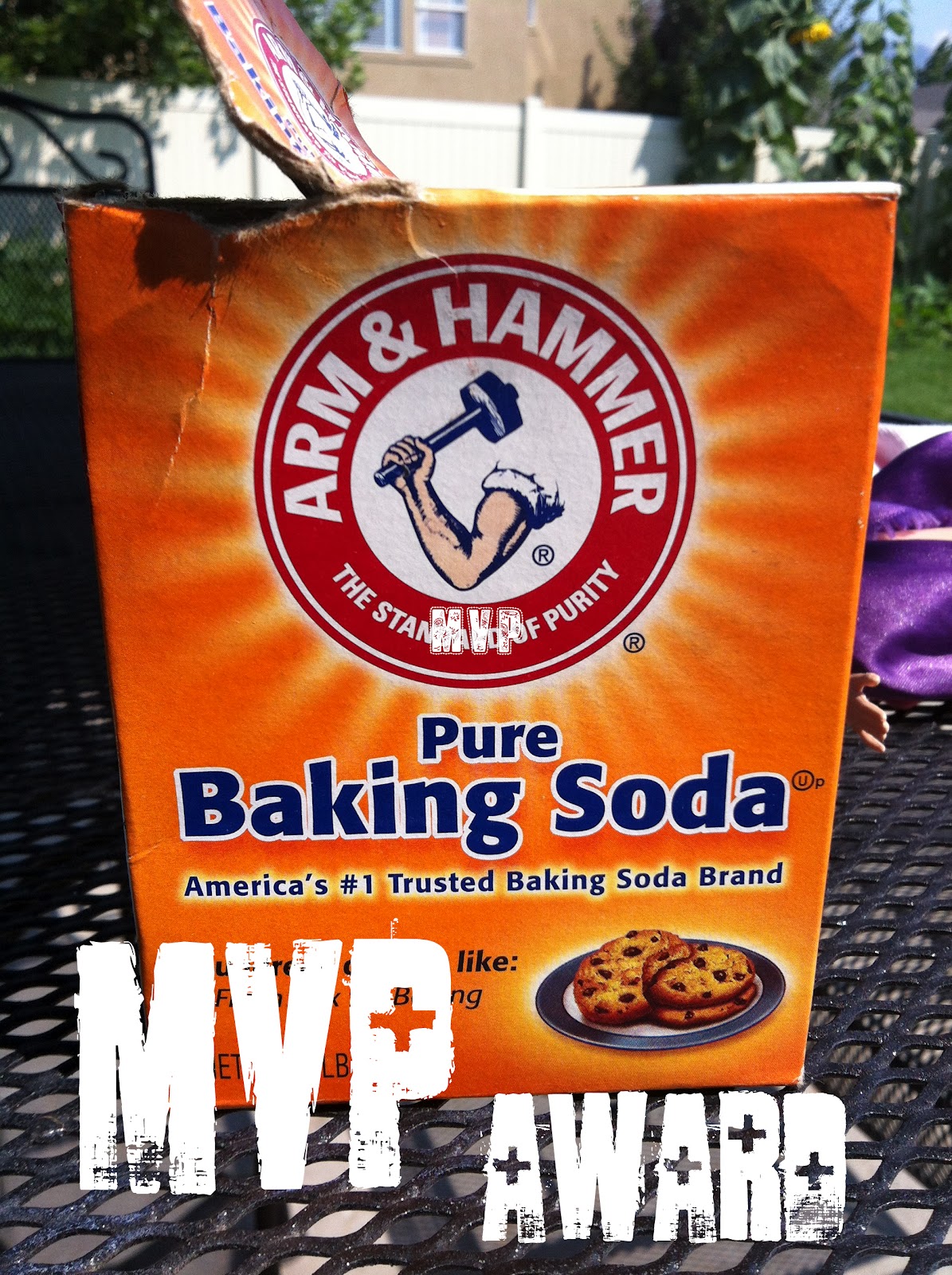 Where My Wild Things Are baking soda & bee stings