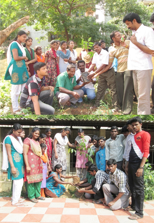 Essay on tree plantation 200 words picture